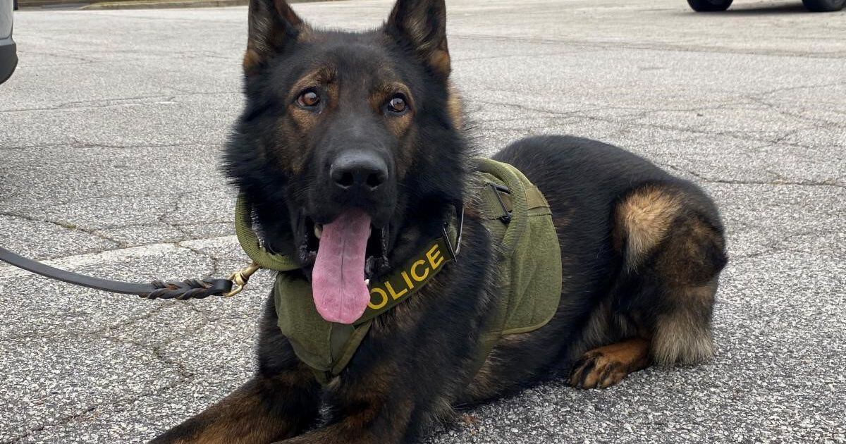  Forest Park Police Department to introduce K-9 officer Thursday 