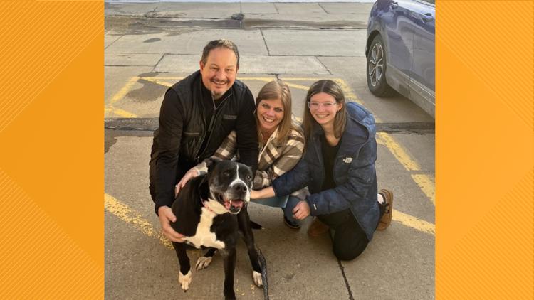  After 7 years in a shelter, Baby the dog finds her forever home 