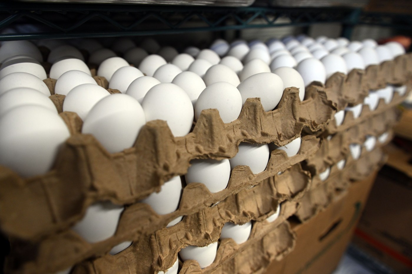  Soaring egg prices putting pinch on businesses in Berks 