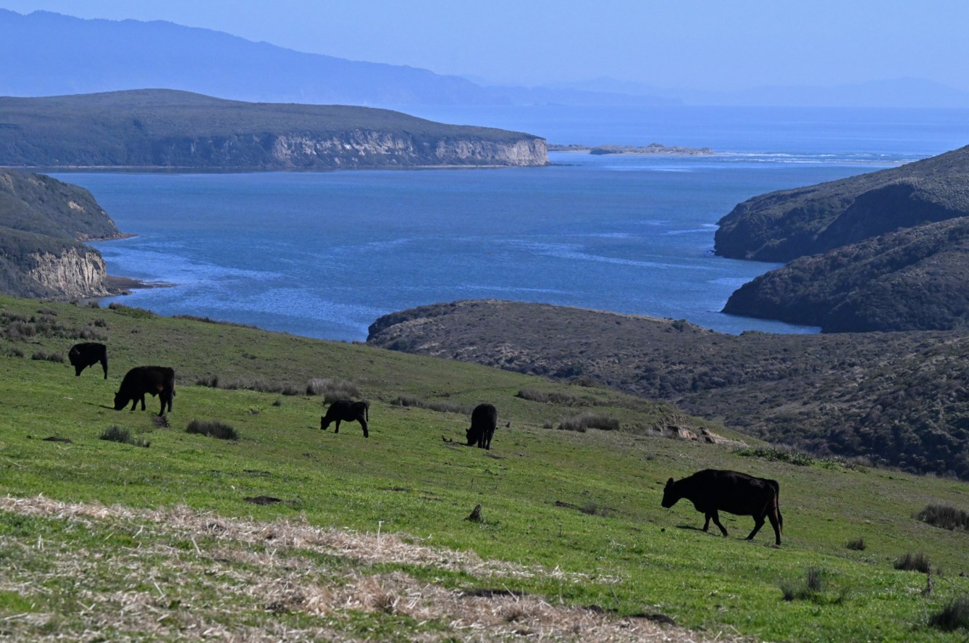  Lawsuit alleges ‘conspiracy’ in Point Reyes farmland deal 