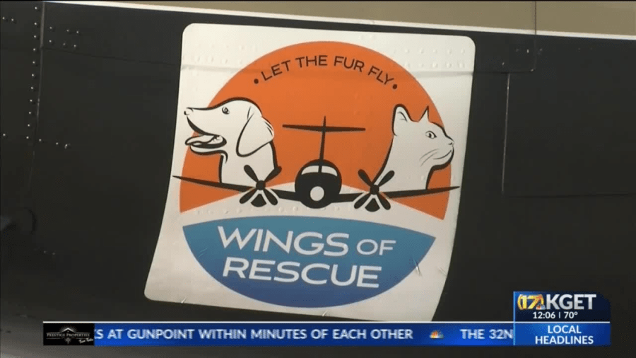  'Wings of Rescue' delivers 45 sheltered dogs to new homes in Canada 