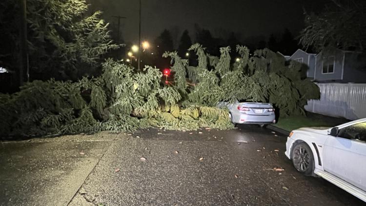  Windstorm damage: extensive power outages and road closures hit western Washington 