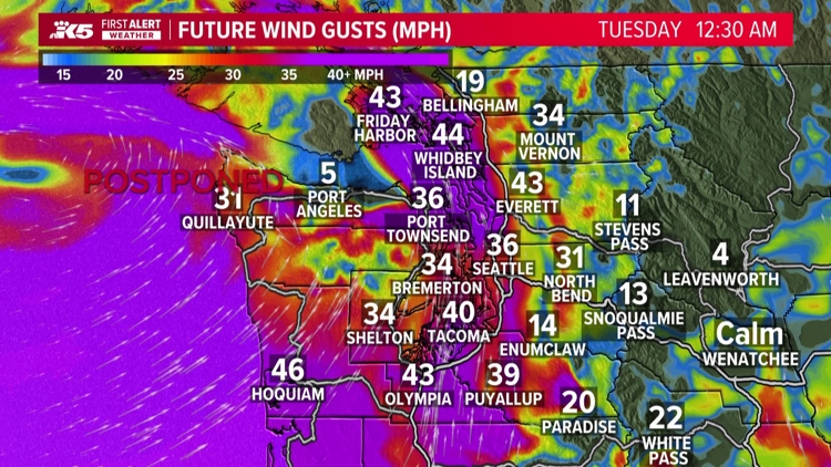  Heavy rains, gusty winds continue into Tuesday morning in western Washington 