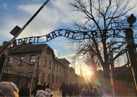  My Trip to Poland for the 80th Anniversary of the Liberation of Auschwitz 