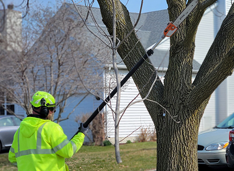  Wesglen Parkway Tree Trimming 