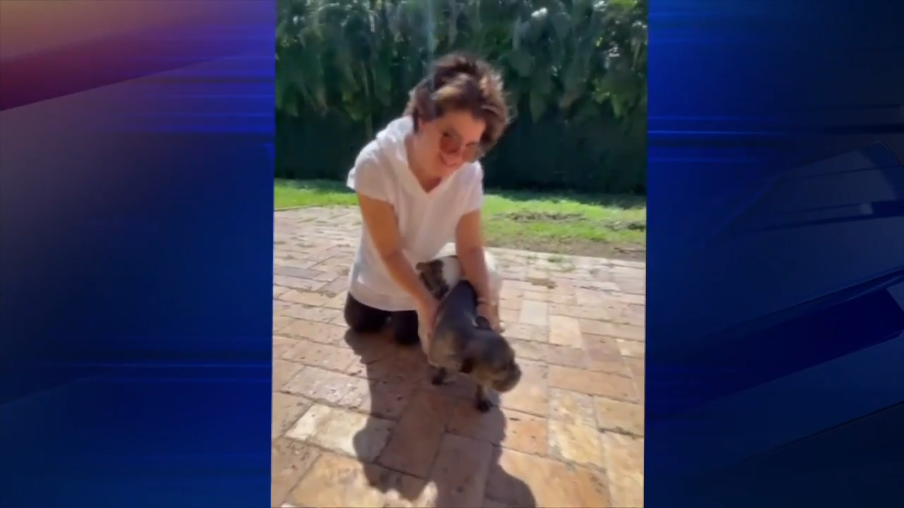  Stolen dog reunites with owner following abduction in Cutler Bay; two suspects in custody 