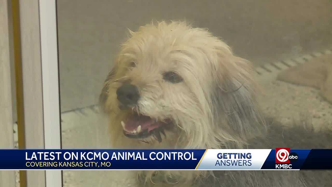  KC Pet Project 'begging for help' as all kennels completely fill up 