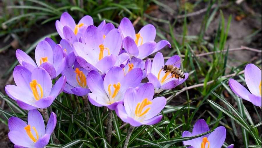  Another round of spring heat Friday for the Portland area 