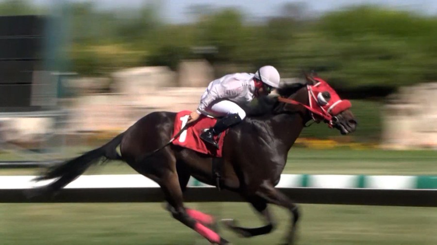  'Tough decision': Big Fresno Fair on cancelling horse races 