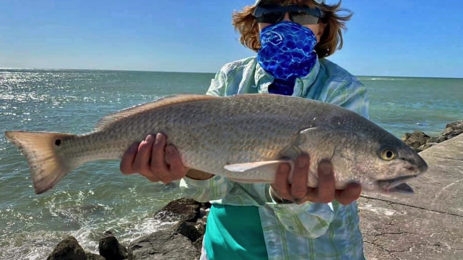 Saltwater fishing: Redfish are the best bet around Tampa Bay 