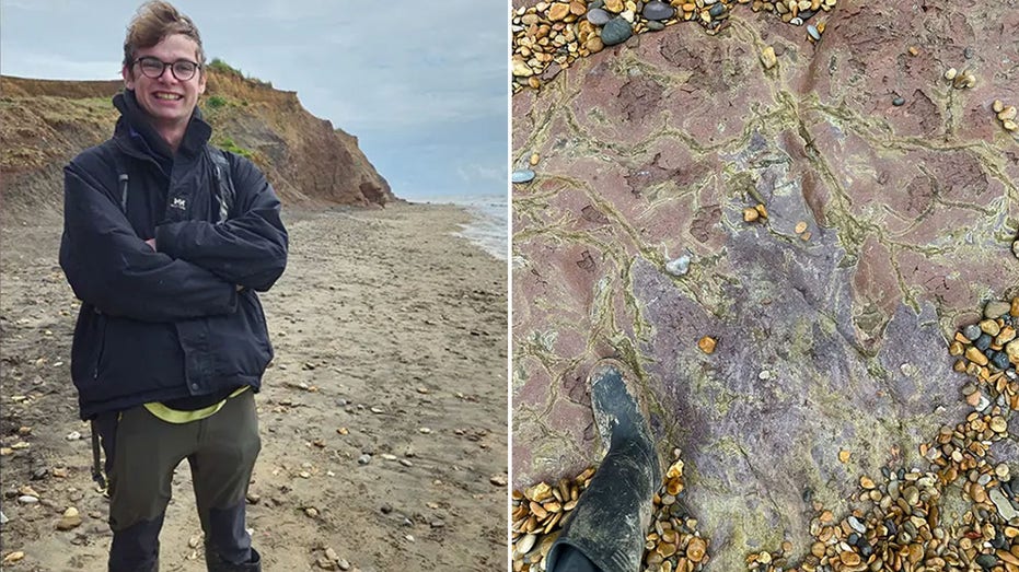  Ancient dinosaur footprint dating back 100 million years discovered near coastal town 