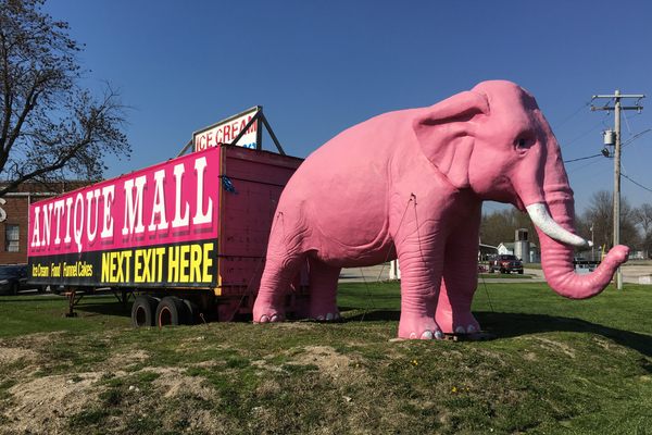  Pink Elephant Antique Mall 