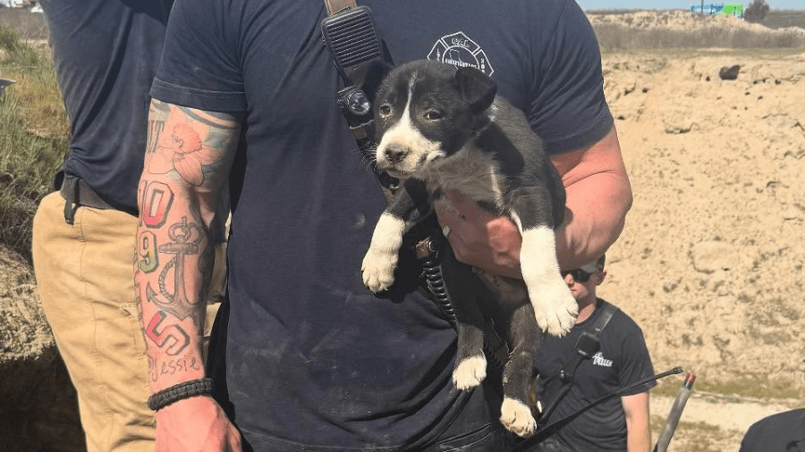  WATCH: Crews rescue puppy discovered living inside of Fresno County hill 