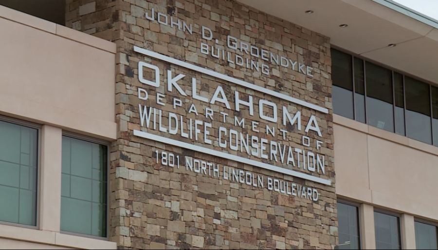  'Unusual catch': ODWC captures big gar at Lake Texoma 