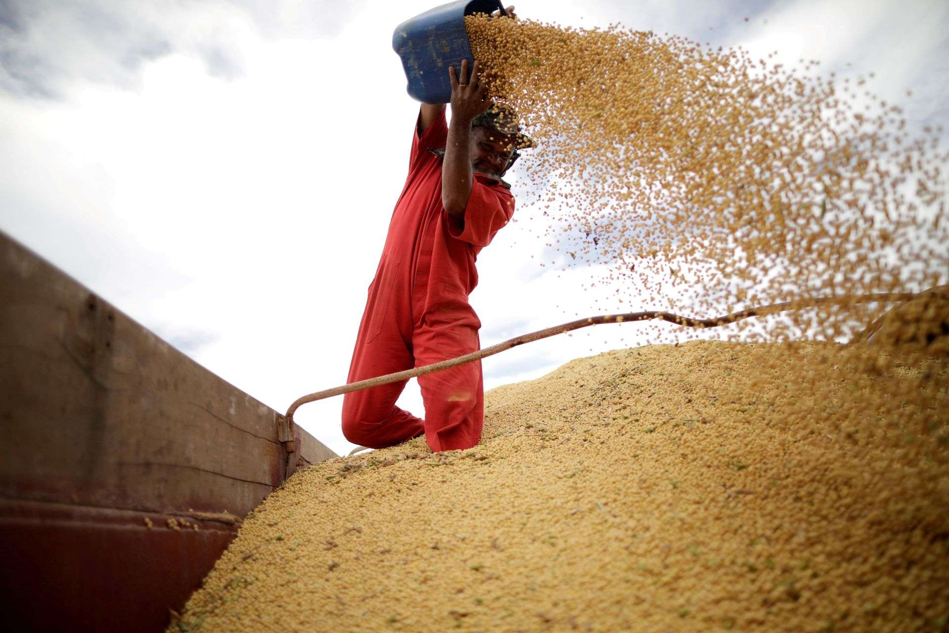  Analysis: Big U.S., Brazil Harvests, Slow China Demand, Ease Crop Shortage Fears 