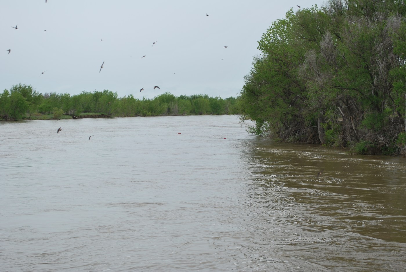  Missing Colorado woman found dead in Montana river 