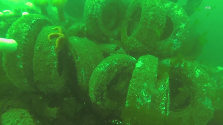  Sixty years later: More than 100,000 tires from failed reef plan are coming out of Puget Sound 