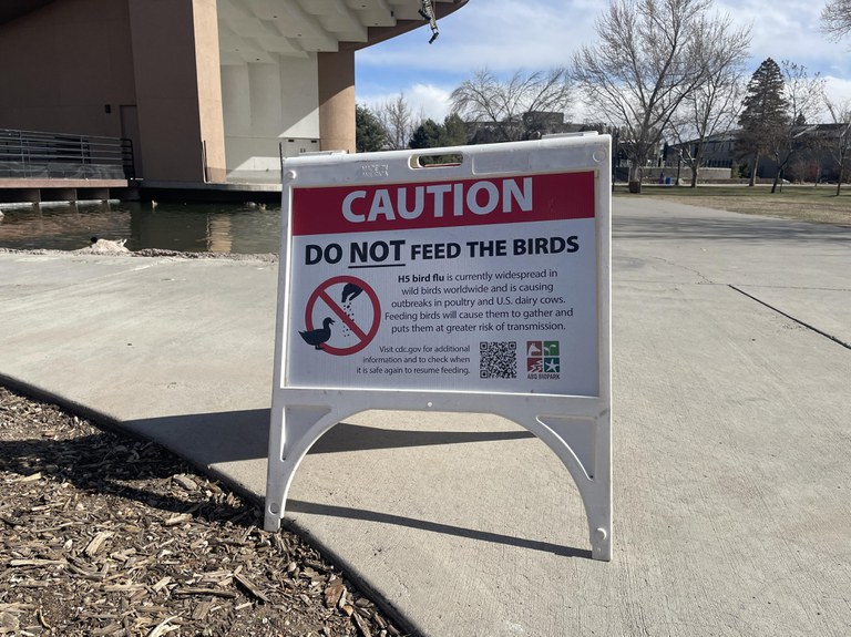  ABQ BioPark moves some birds indoors to protect them from avian flu 