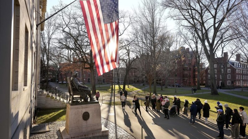  Harvard freezes hiring amid financial 'uncertainties' driven by Trump policies 