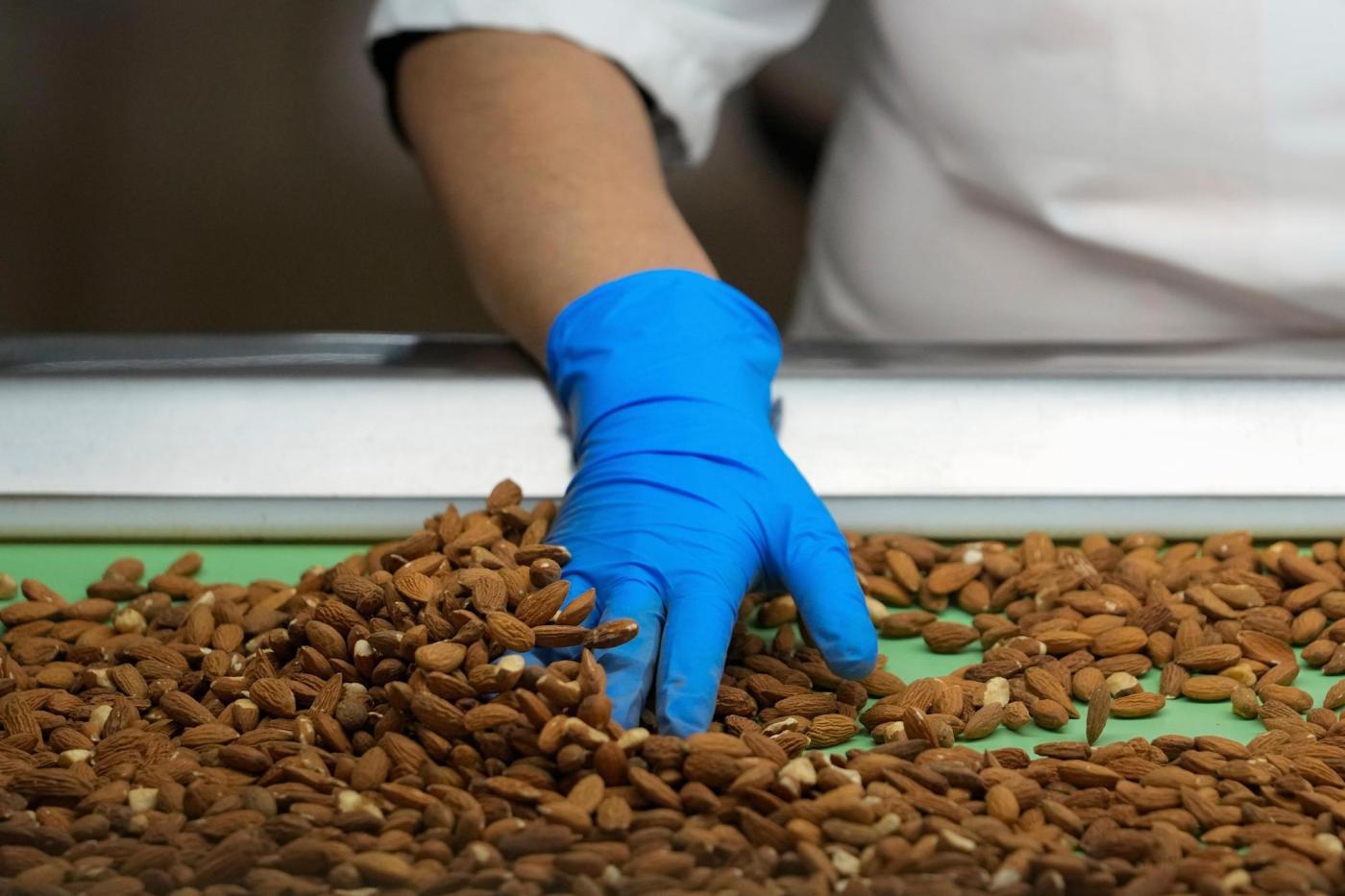  California almond growers grapple with uncertainty as new tariffs could hit exports 