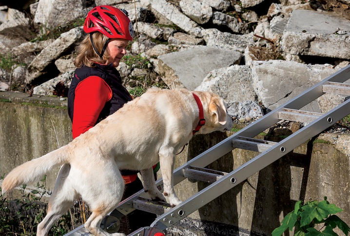  Seeking Resolutions: Inside Human and Canine Partners’ Search for Lost Souls 