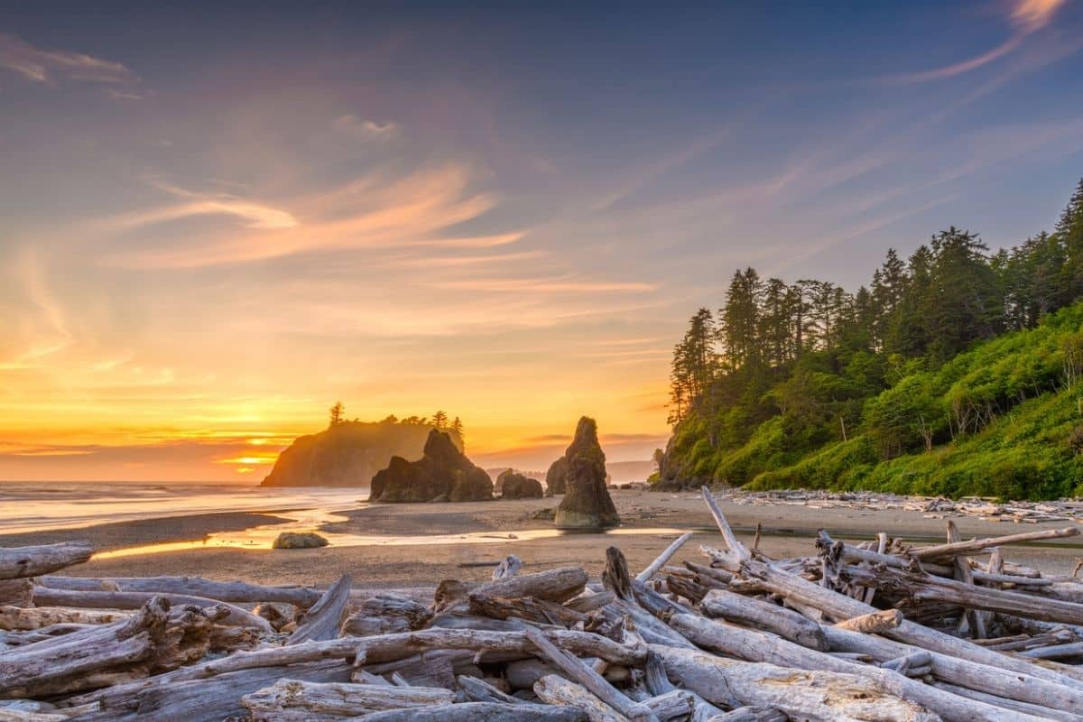  11 Best Beaches in WASHINGTON State To Visit in October 2022 
