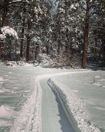   
																Snow improves skiing and snowbiking trails 
															 