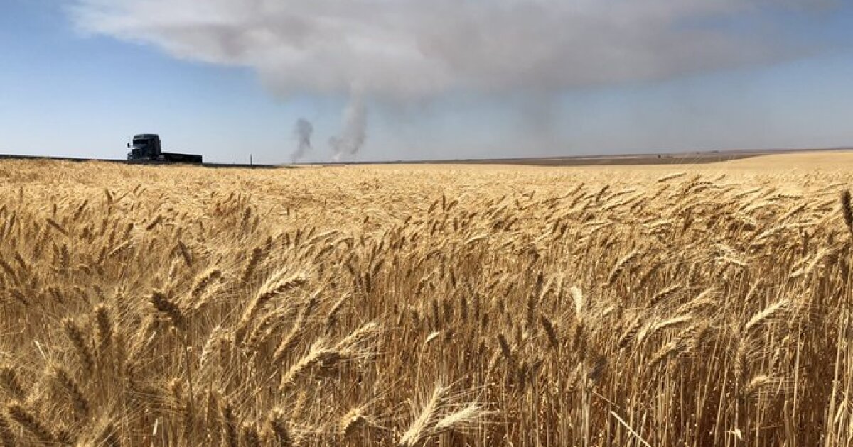  Firefighters Address Central And Eastern Washington Fires After Lightning Storms 