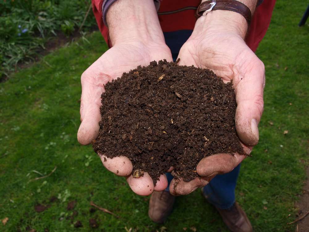  California Has Legalized Human Composting of the Dead 