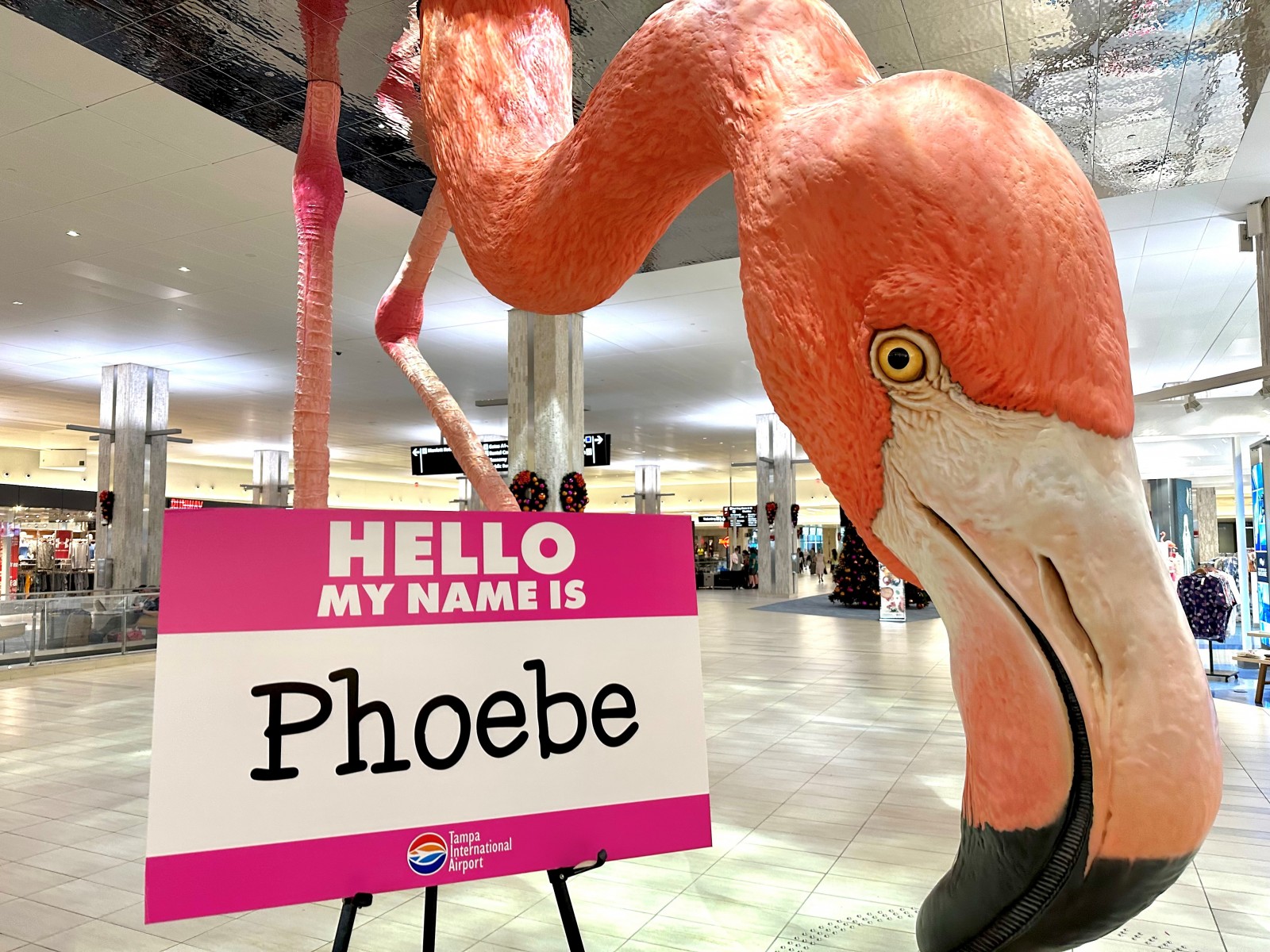  The votes are in and it's official: “Phoebe” wins TPA's Name the Flamingo Contest 