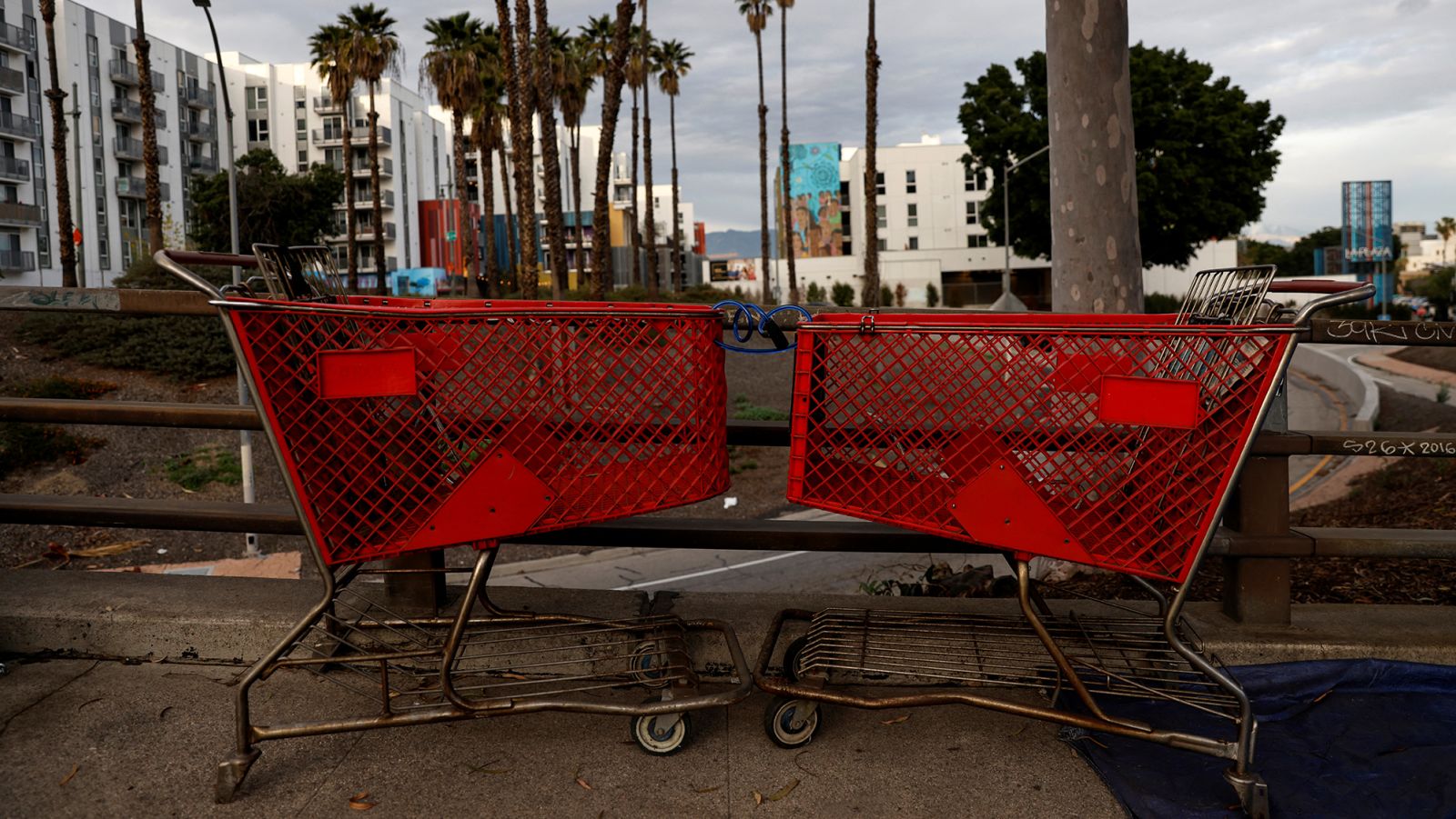  Shopping carts keep disappearing from stores 