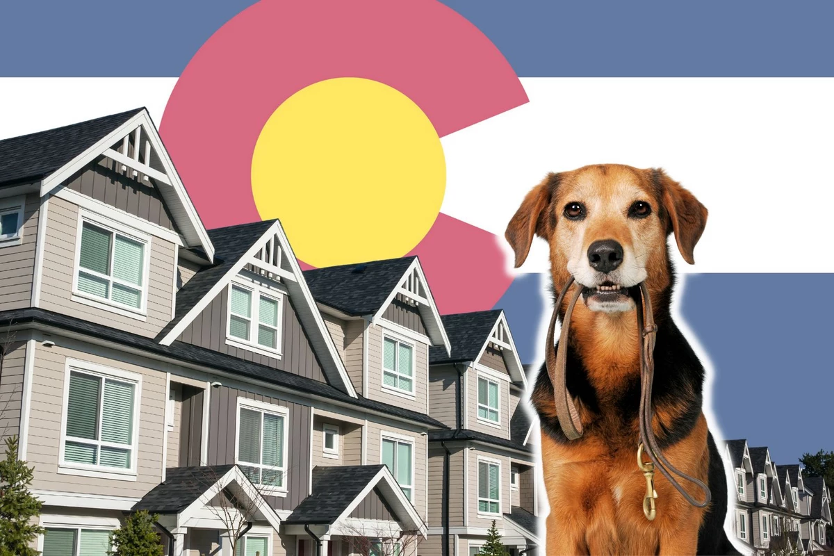  Could a New Bill Ban Pet Rent and Pet Deposits in Colorado? 