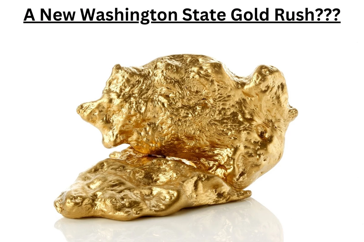  Billions of Dollars Worth of Gold has been Found in Washington St 