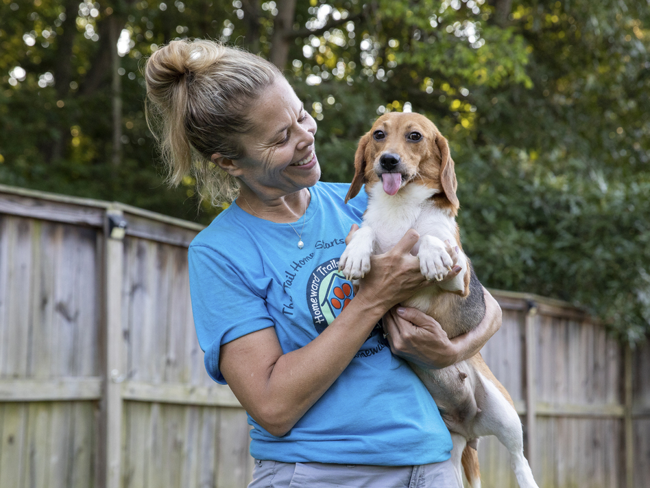  Rescue groups begin work to rehome 4,000 beagles bred for research 