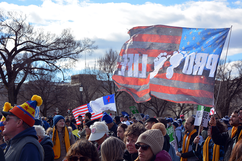  At March for Life, a jubilant crowd prepares for state-level fights 