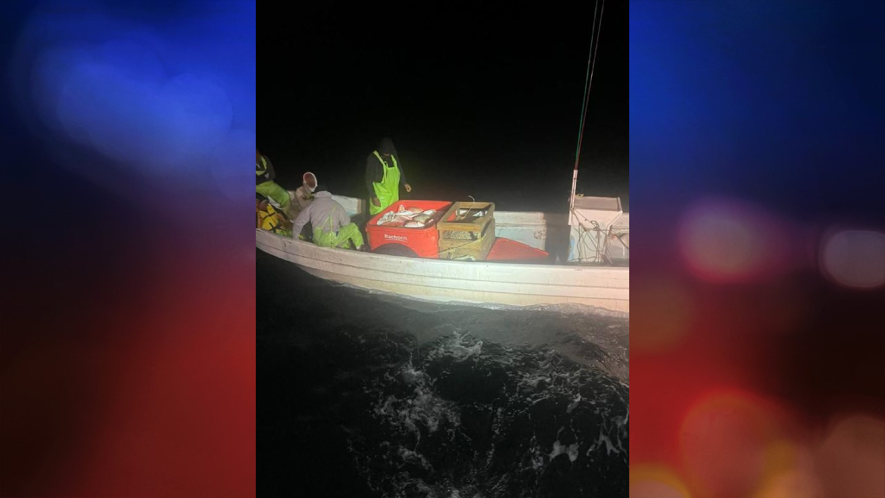  Coast Guard seizes 600 pounds of illegally caught shark and fish near SPI 