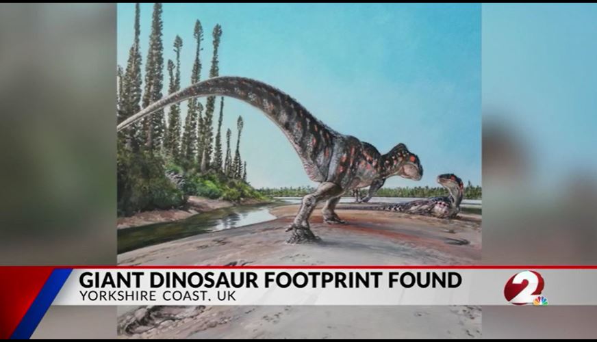  Dinosaur footprint discovered in the UK 