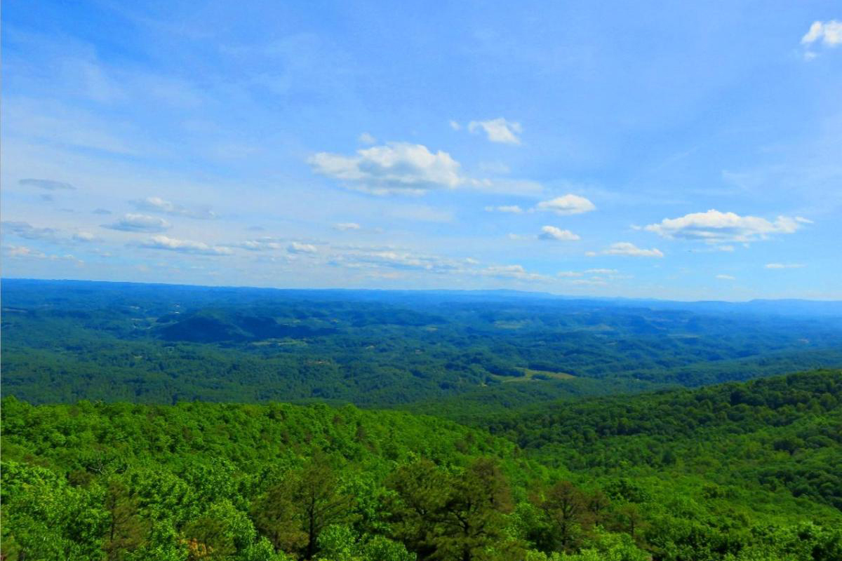  This Scenic Outlook in Southwest Virginia Is Worth the 183 Steps to the Top 