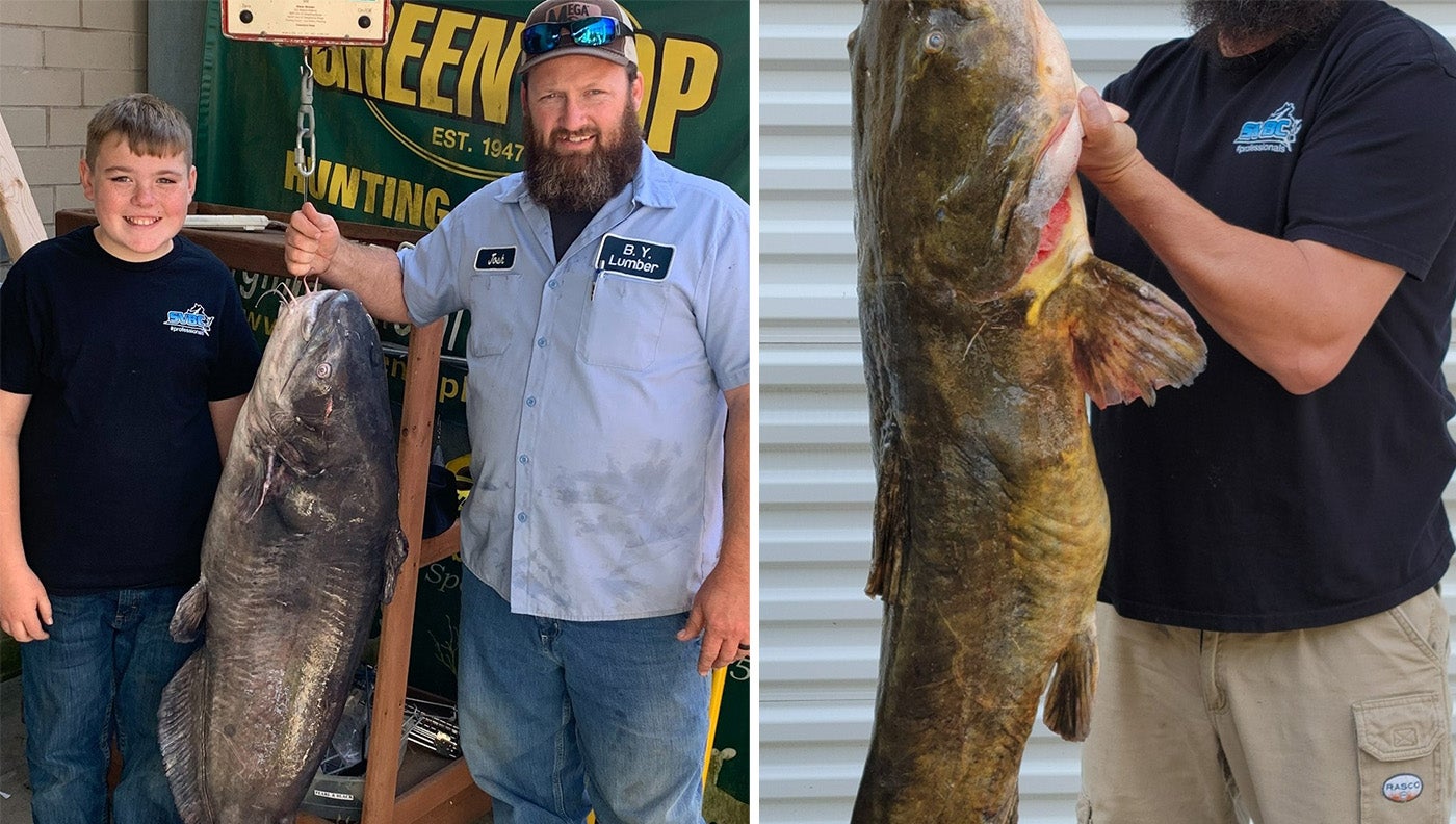   
																Bowfishermen Arrow a Pair Virginia State-Record Catfish 
															 