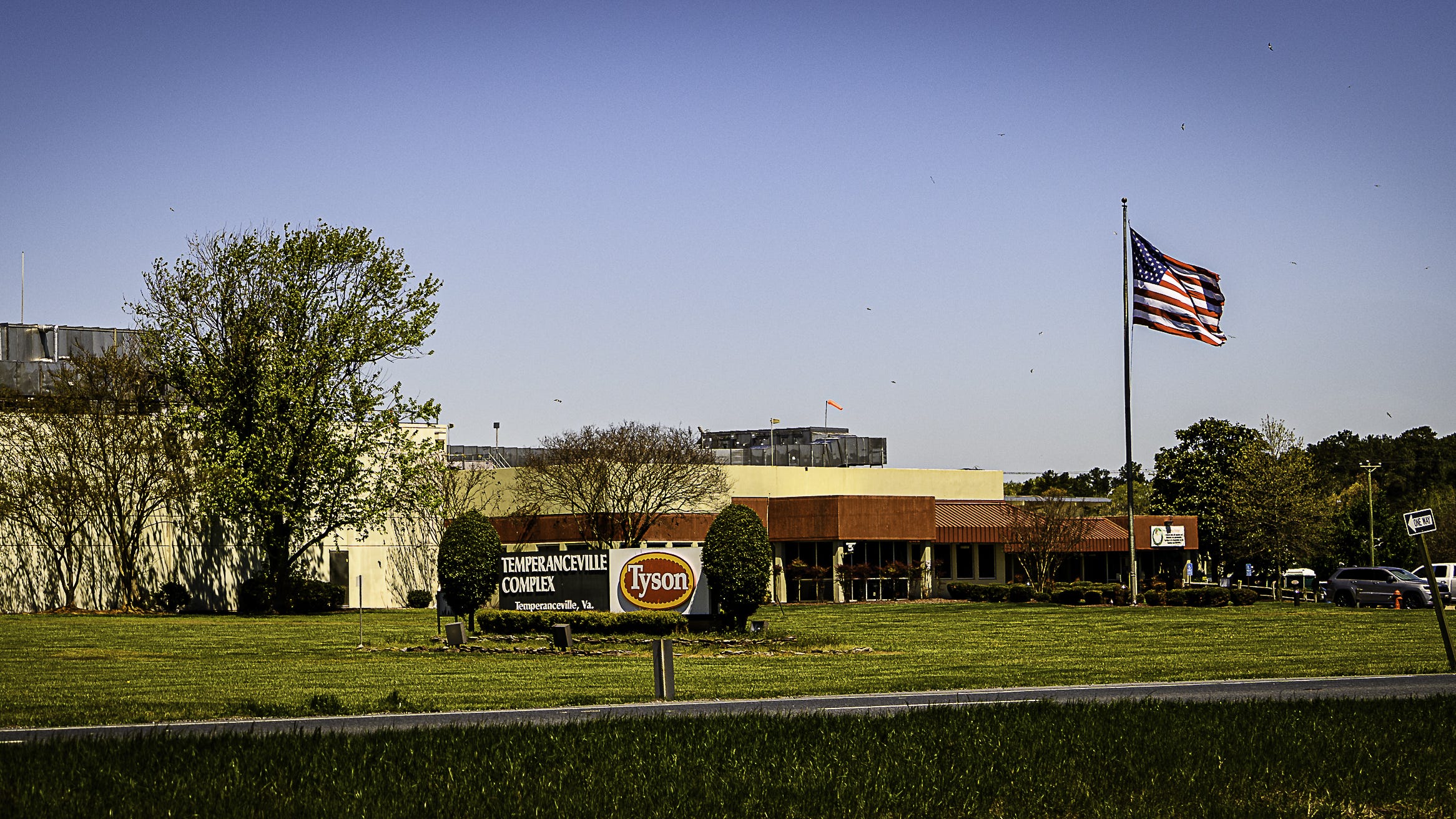  Tyson Foods closes Virginia Shore plant for 'deep cleaning' 