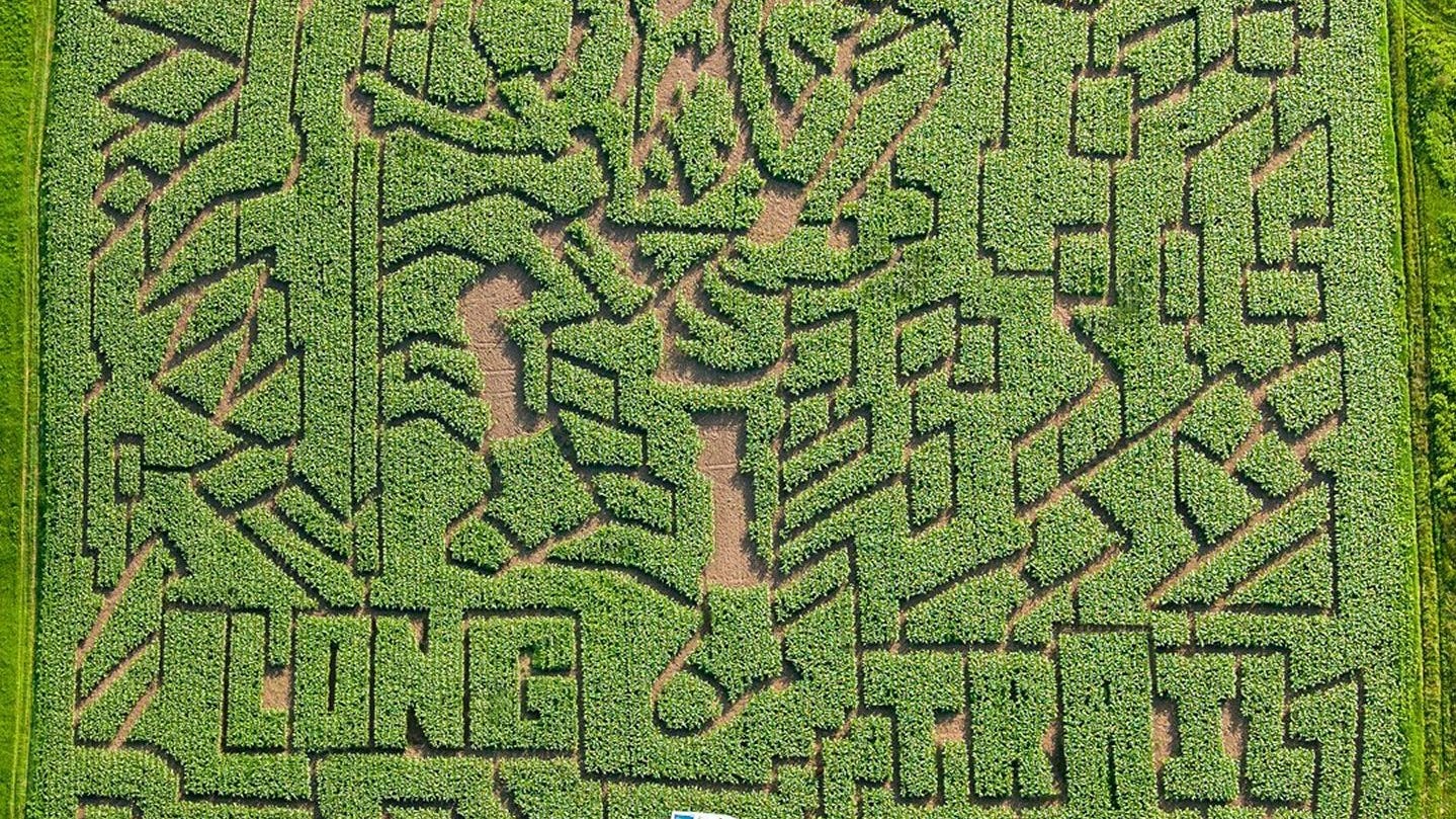  Where is the hardest corn maze in America, according to this book? North Danville, Vermont. 