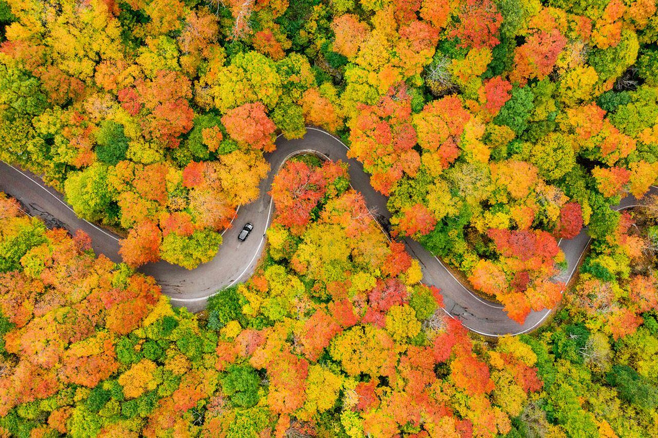  New England fall foliage: Some of the best leaf-peeping road trips 