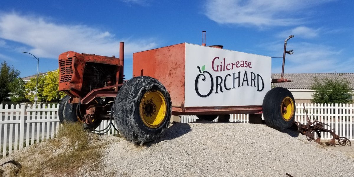  Gilcrease Orchard in northwest Las Vegas to sell Christmas trees 