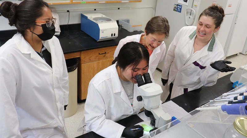  Stepping Stones to Healing: Aspiring Health Care, Veterinary Scholars Explore Biological Research 