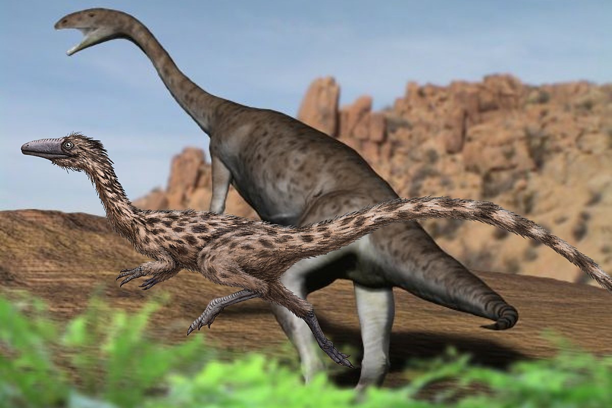  Two Dinosaur Species Have Been Excavated in Massachusetts 