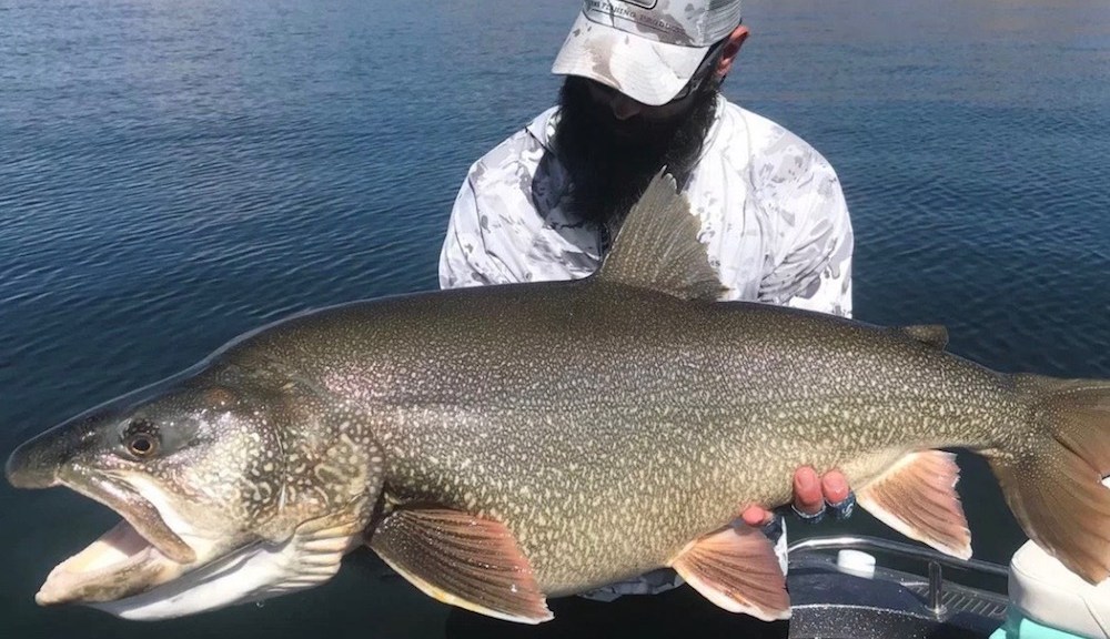  Fisherman nearly let record lake trout get away 