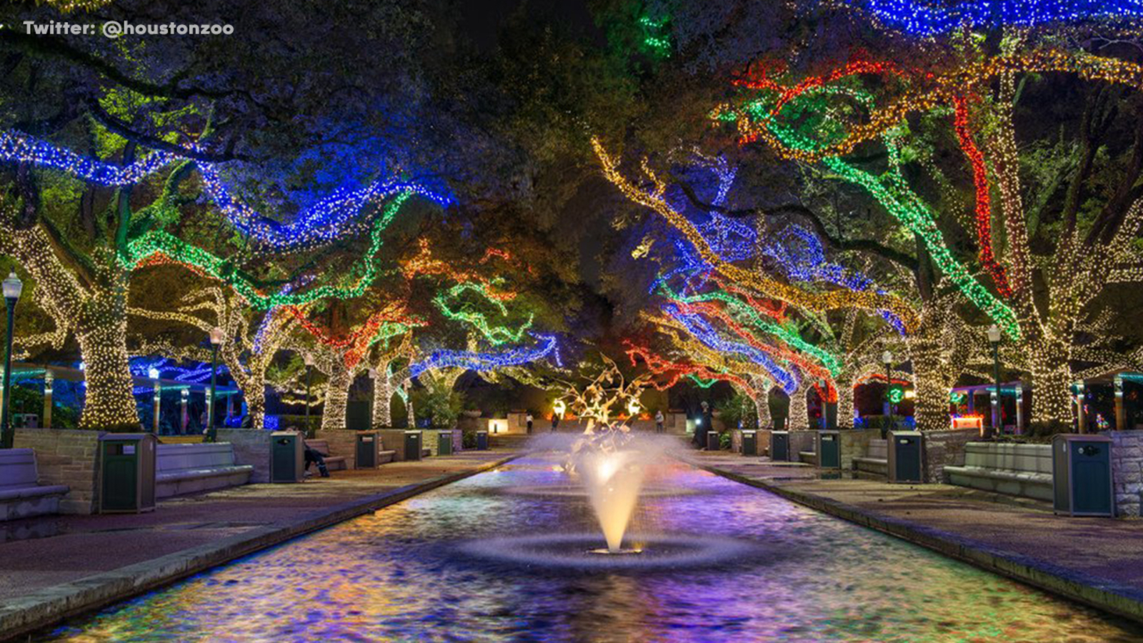  Inclement weather conditions forces Houston Zoo to cancel light show on Black Friday 