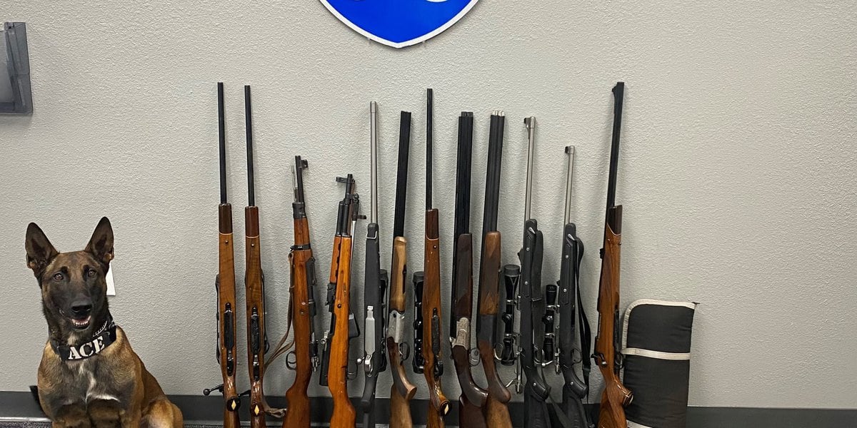  Mount Pleasant traffic stop leads to recovery of dozens of guns believed stolen 