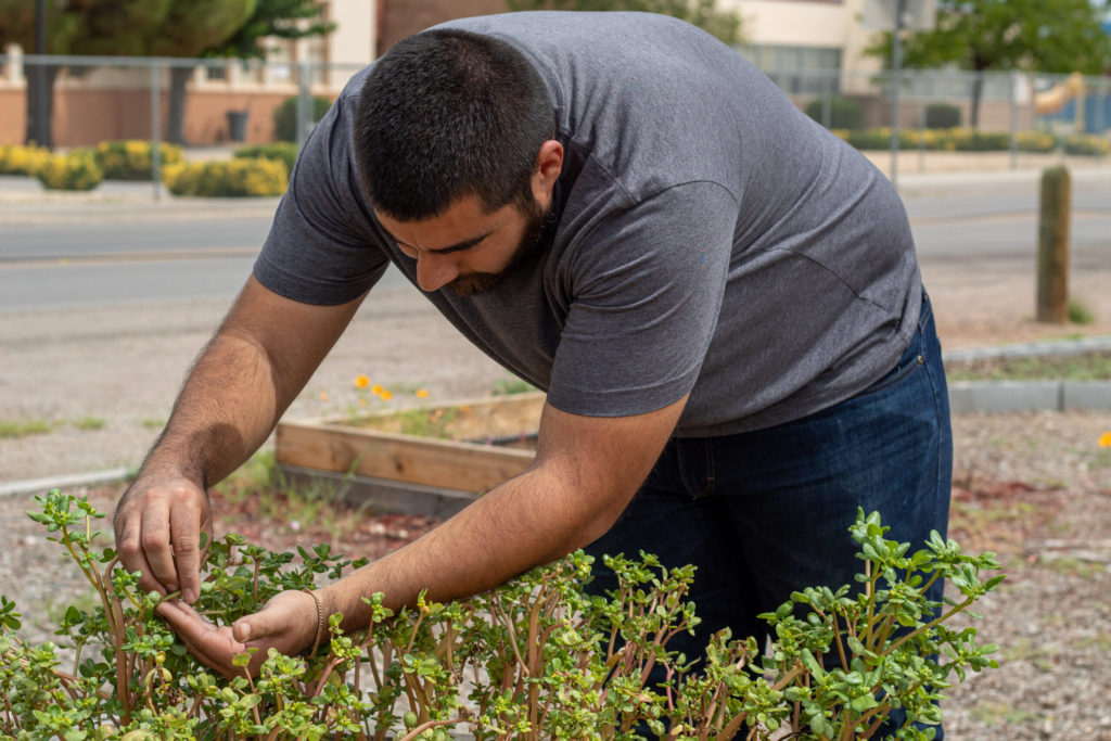  San Eli man experiments with growing food in the desert amid climate change 