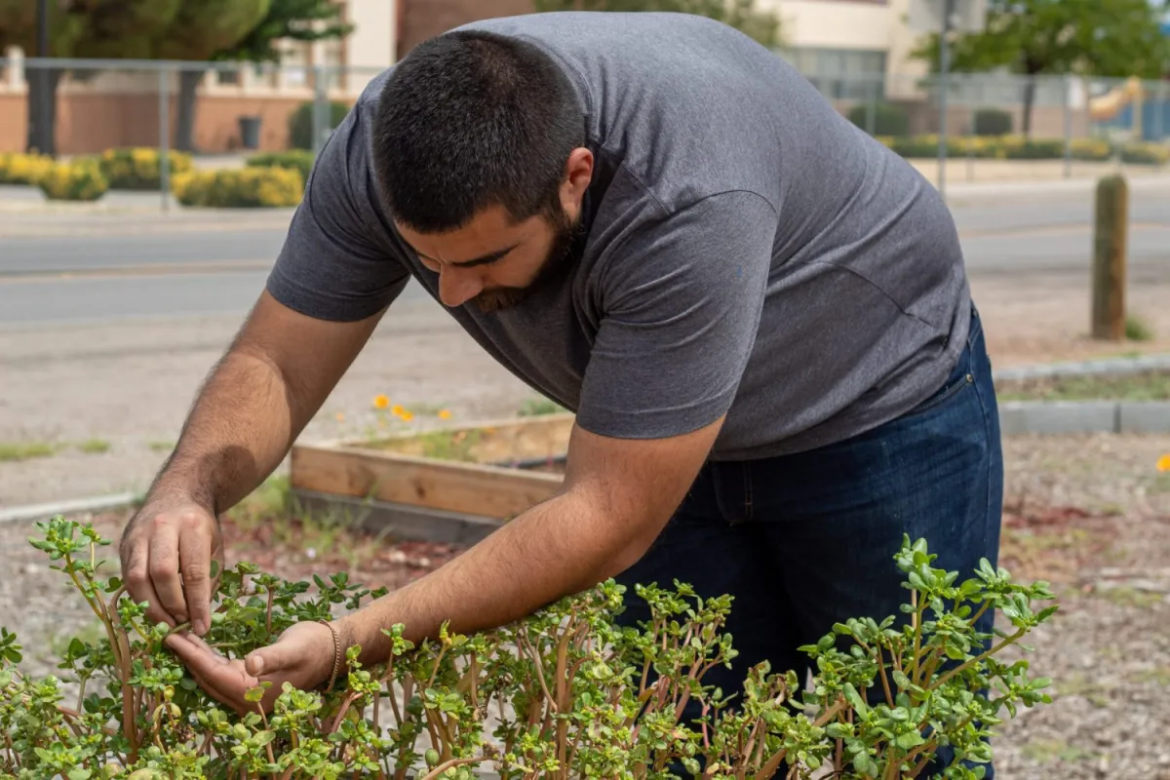  San Elizario experiments with cultivating low-water use gardens amid climate change 